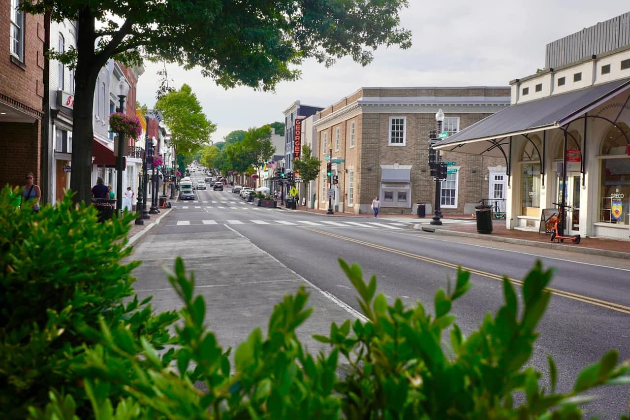 Tree-lined main street with shops and cafes