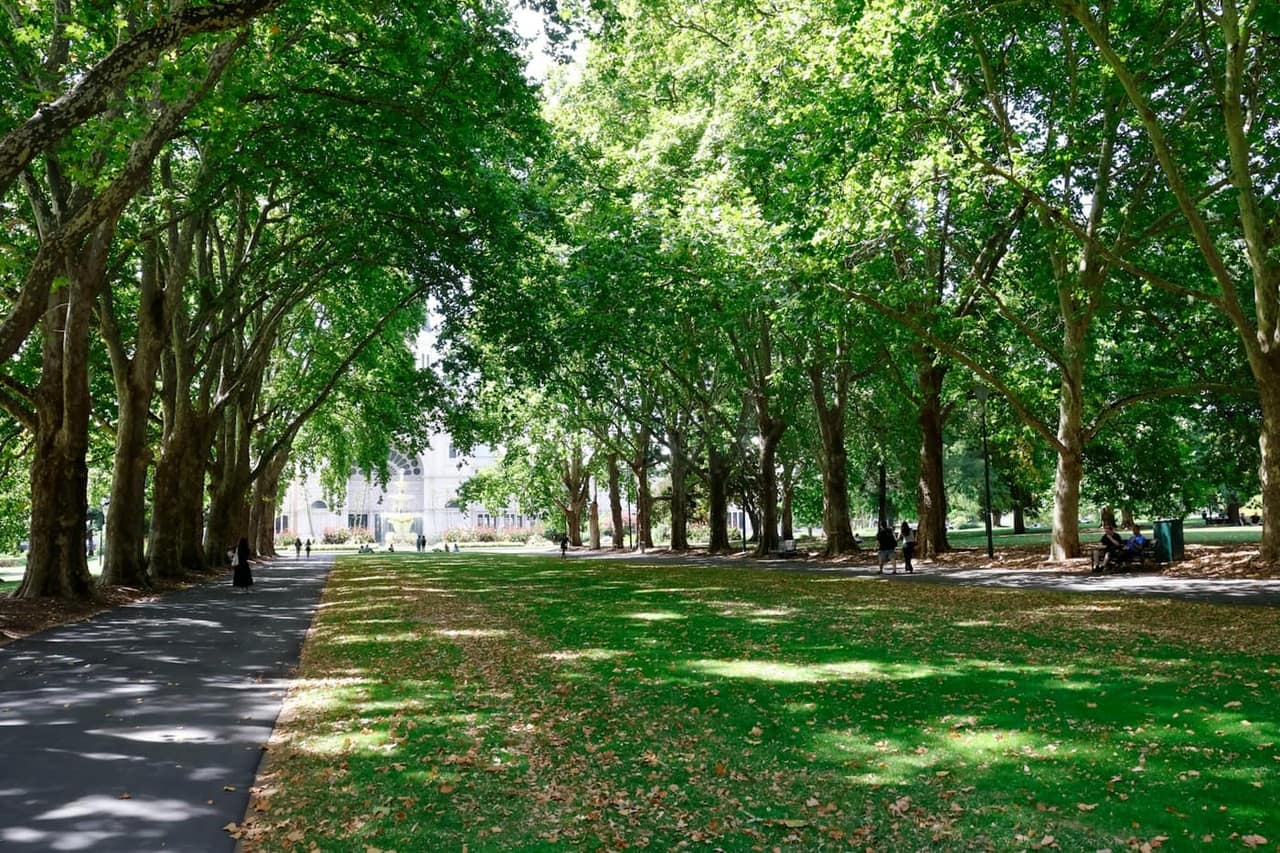Shaded park path in Hillcrest