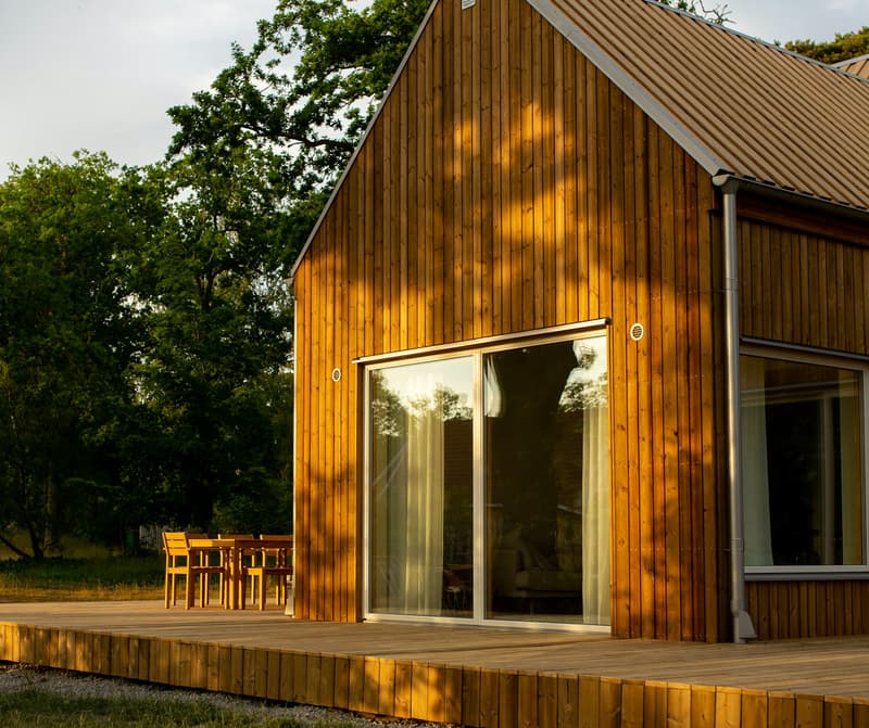 Modern home with timber facade