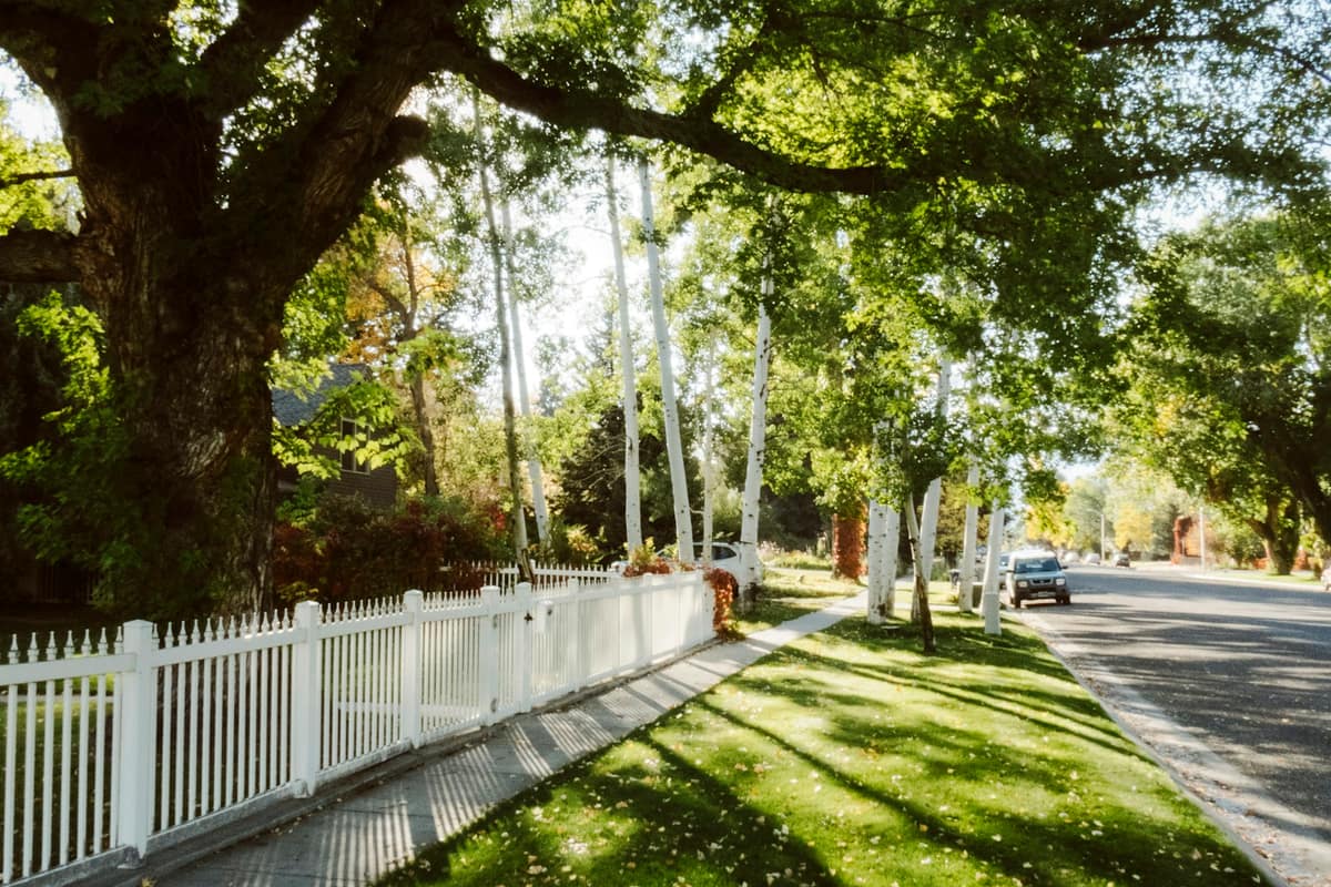 A white picket fence along a shaded street