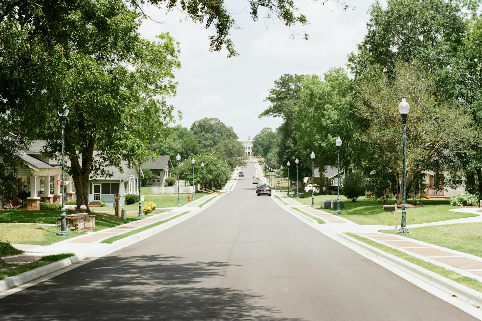 Quiet tree-lined residential street in Hillcrest