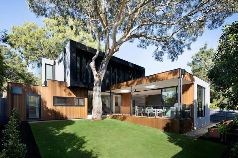 Modern home beneath a mature shade tree